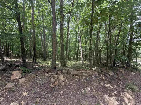 000 Greentree Rd, Clinton, AR 72032 photo 3