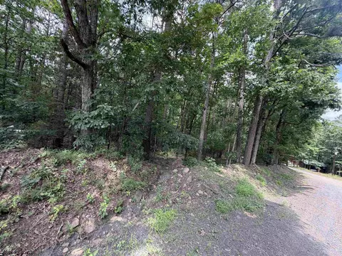 000 Greentree Rd, Clinton, AR 72032 photo 4