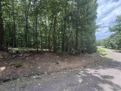 000 Greentree Rd, Clinton, AR 72032 photo 2