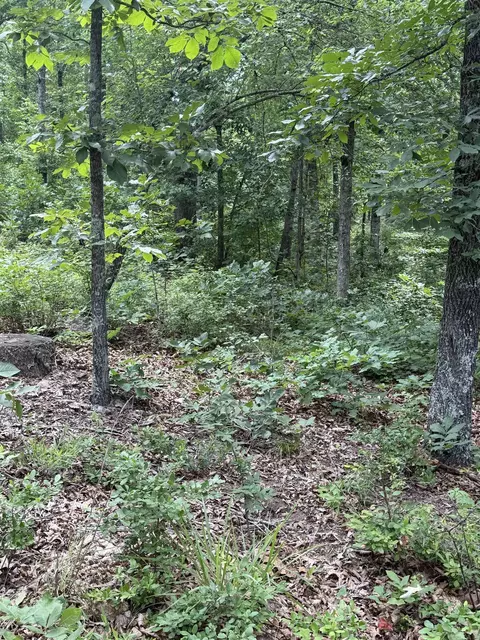 4650 Edgemont Rd, Quitman, AR 72131 photo 5