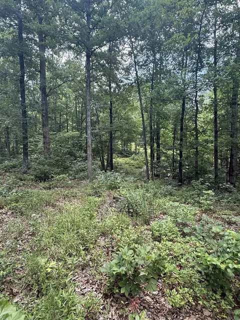 4650 Edgemont Rd, Quitman, AR 72131 photo 10
