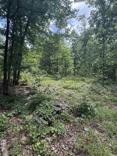 4650 Edgemont Rd, Quitman, AR 72131 photo 3