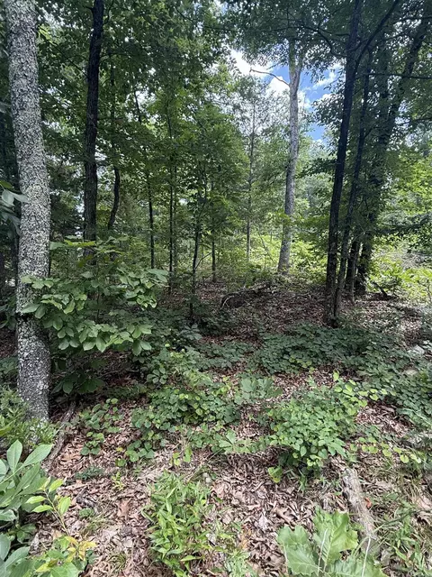 4650 Edgemont Rd, Quitman, AR 72131 photo 9