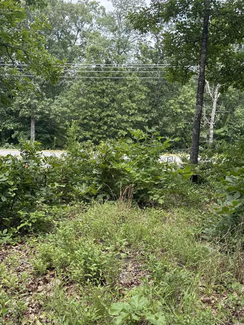 4650 Edgemont Rd, Quitman, AR 72131 photo 14
