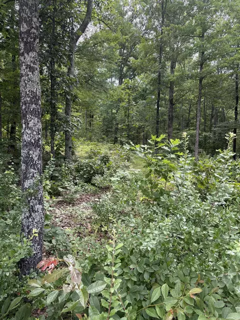 4650 Edgemont Rd, Quitman, AR 72131 photo 6