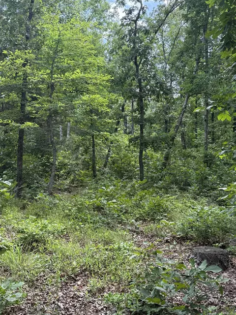 4650 Edgemont Rd, Quitman, AR 72131 photo 12