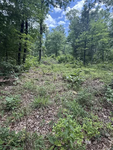 4650 Edgemont Rd, Quitman, AR 72131 photo 4