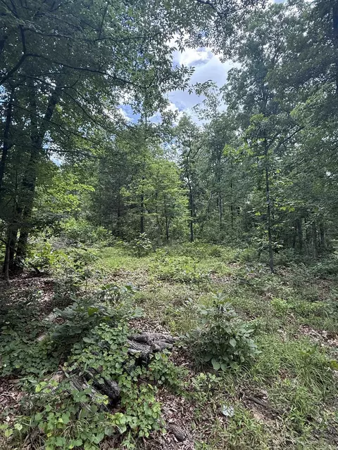 4650 Edgemont Rd, Quitman, AR 72131 photo 11