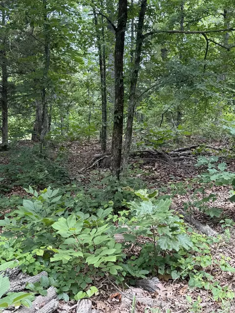 4650 Edgemont Rd, Quitman, AR 72131 photo 13