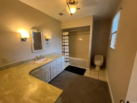 Bath - 12501 County Line Rd, Alexander, AR 72002 photo 3 of 4