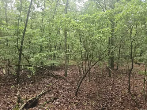00 Glorieto Way, Hot Springs Village, AR 71909