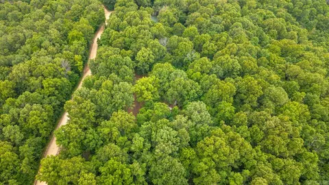 tbd Rainbow Valley Trl, Mammoth Spring, AR 72554 photo 17