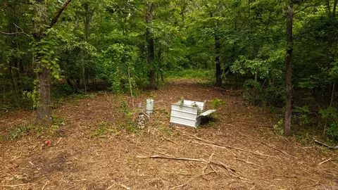 tbd Rainbow Valley Trl, Mammoth Spring, AR 72554 photo 8