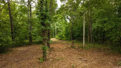 tbd Rainbow Valley Trl, Mammoth Spring, AR 72554 photo 11