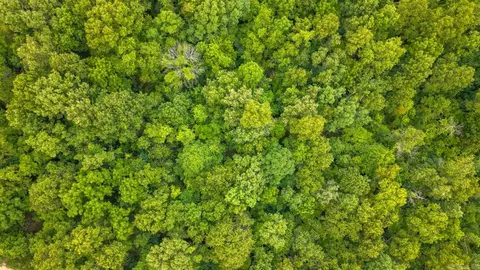 tbd Rainbow Valley Trl, Mammoth Spring, AR 72554 photo 16