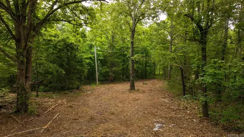 tbd Rainbow Valley Trl, Mammoth Spring, AR 72554 photo 9