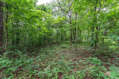 tbd Rainbow Valley Trl, Mammoth Spring, AR 72554 photo 12