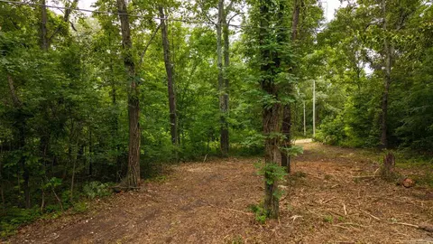 tbd Rainbow Valley Trl, Mammoth Spring, AR 72554 photo 10