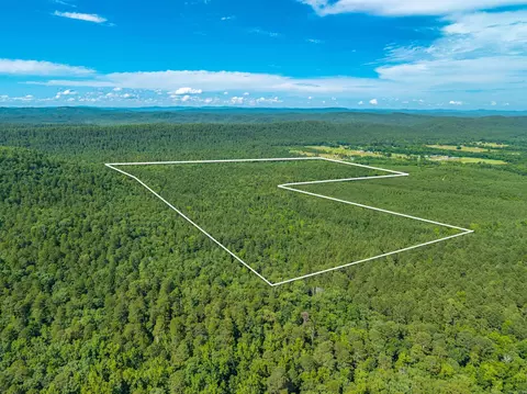 000 Kinsey Mountain Rd, Bonnerdale, AR 71933