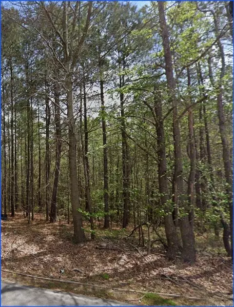 000 N Sardis Rd, Mabelvale, AR 72103 photo 10