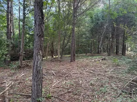 000 N Sardis Rd, Mabelvale, AR 72103 photo 4