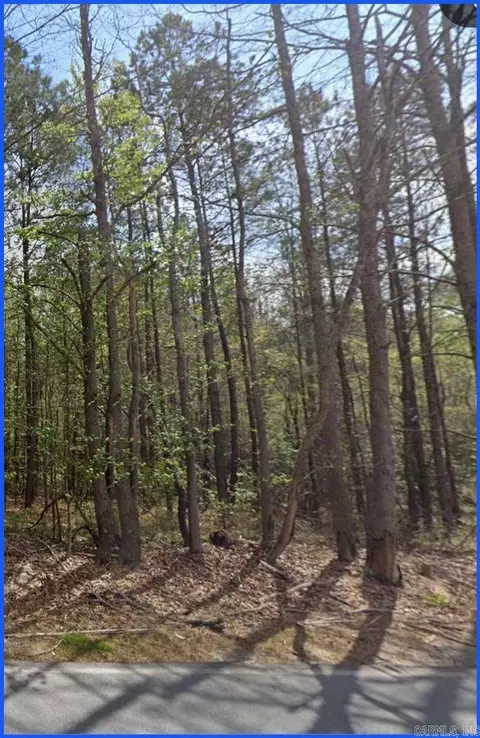 000 N Sardis Rd, Mabelvale, AR 72103 photo 9