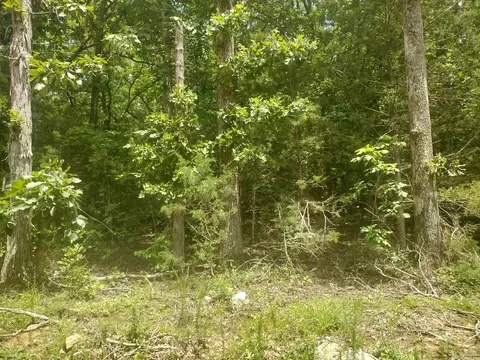 0 Mcitire Ln, Mountain View, AR 72560 photo 8