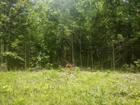0 Mcitire Ln, Mountain View, AR 72560 photo 7