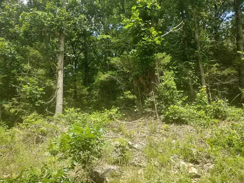 0 Mcitire Ln, Mountain View, AR 72560 photo 5