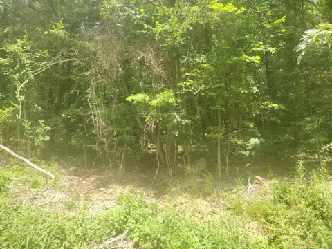 0 Mcitire Ln, Mountain View, AR 72560 photo 6