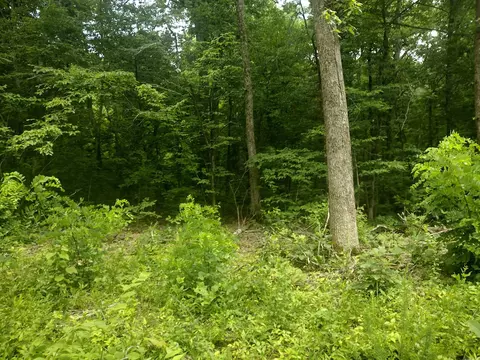 0 Mcitire Ln, Mountain View, AR 72560 photo 3