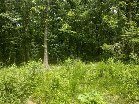 0 Mcitire Ln, Mountain View, AR 72560 photo 4