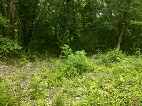 0 Mcitire Ln, Mountain View, AR 72560 photo 2