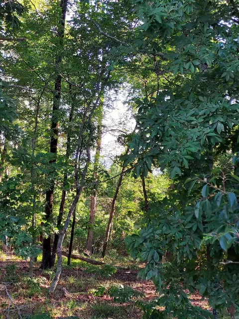 37 Pertusa Dr, Hot Springs Village, AR 71909