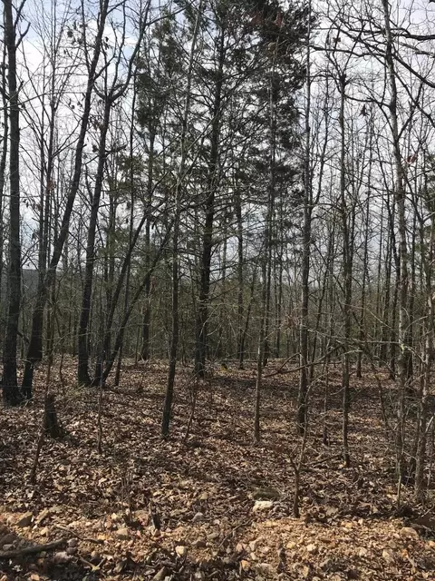 tbd Red Fox Rd, Hardy, AR 72542