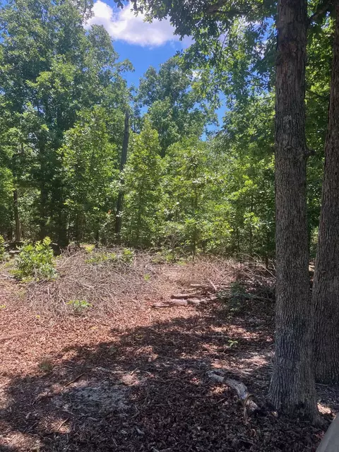 tbd Red Fox Rd, Hardy, AR 72542