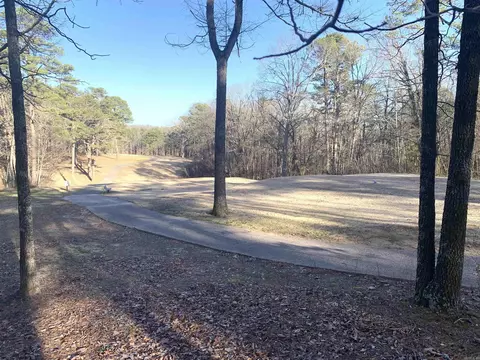 11 Castle Ridge Hts, Fairfield Bay, AR 72088