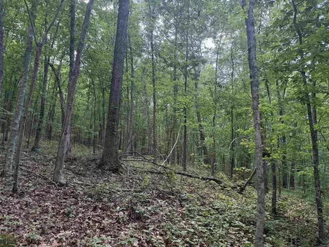 00 Peyton Mountain Rd, Dennard, AR 72629 photo 12