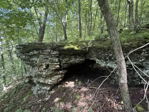 00 Peyton Mountain Rd, Dennard, AR 72629 photo 20