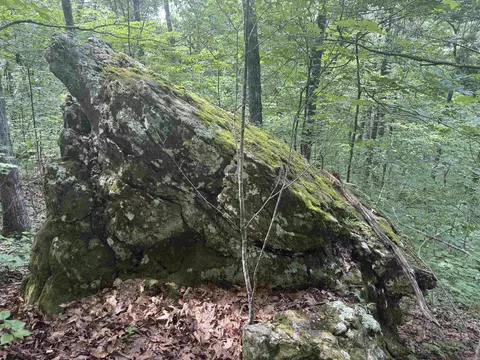 00 Peyton Mountain Rd, Dennard, AR 72629 photo 8