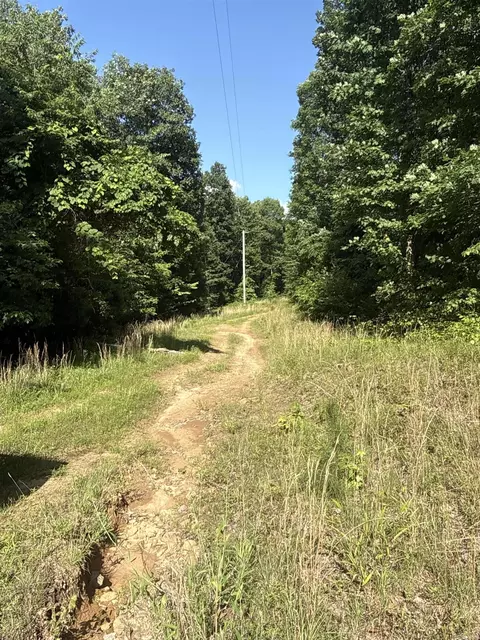 00 Peyton Mountain Rd, Dennard, AR 72629