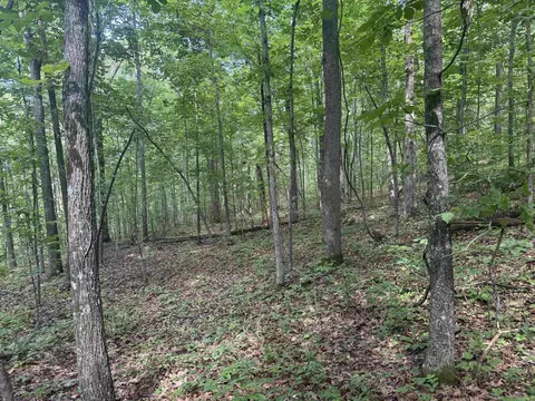 00 Peyton Mountain Rd, Dennard, AR 72629 photo 19