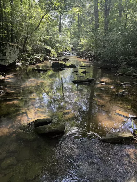00 Peyton Mountain Rd, Dennard, AR 72629 photo 6