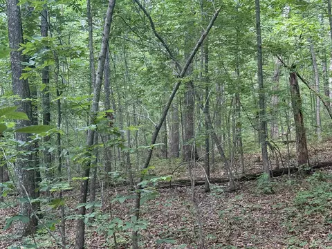 00 Peyton Mountain Rd, Dennard, AR 72629 photo 16