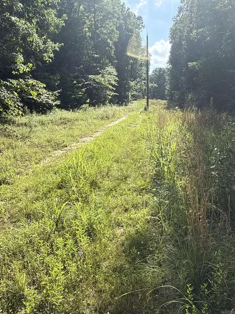 00 Peyton Mountain Rd, Dennard, AR 72629 photo 29