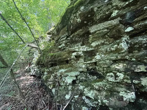 00 Peyton Mountain Rd, Dennard, AR 72629 photo 18