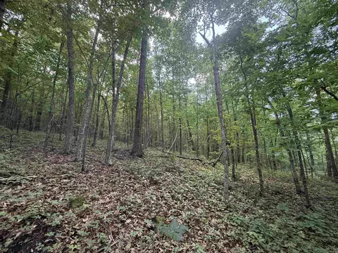 00 Peyton Mountain Rd, Dennard, AR 72629 photo 7