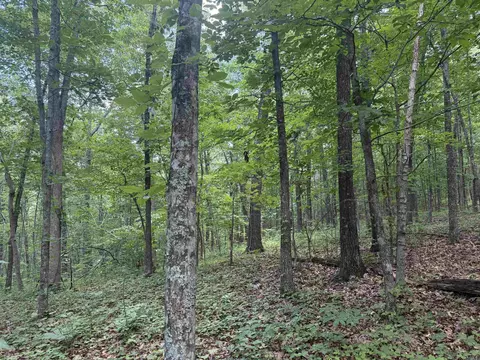 00 Peyton Mountain Rd, Dennard, AR 72629 photo 17