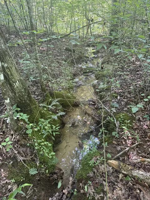 00 Peyton Mountain Rd, Dennard, AR 72629 photo 9