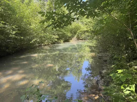 00 Peyton Mountain Rd, Dennard, AR 72629 photo 3